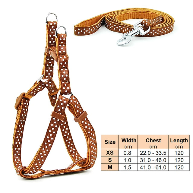 Dog Harness Leash | Cat Harness Leash | The Pets Beat