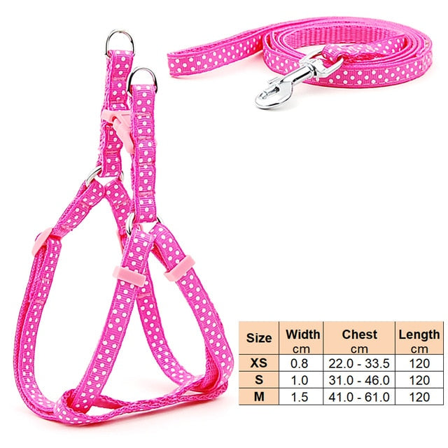 Dog Harness Leash | Cat Harness Leash | The Pets Beat