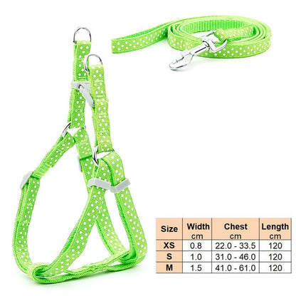 Dog Harness Leash | Cat Harness Leash | The Pets Beat