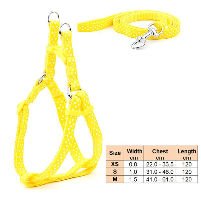 Dog Harness Leash | Cat Harness Leash | The Pets Beat