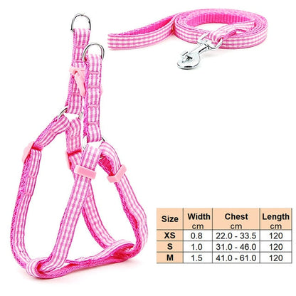 Dog Harness Leash | Cat Harness Leash | The Pets Beat