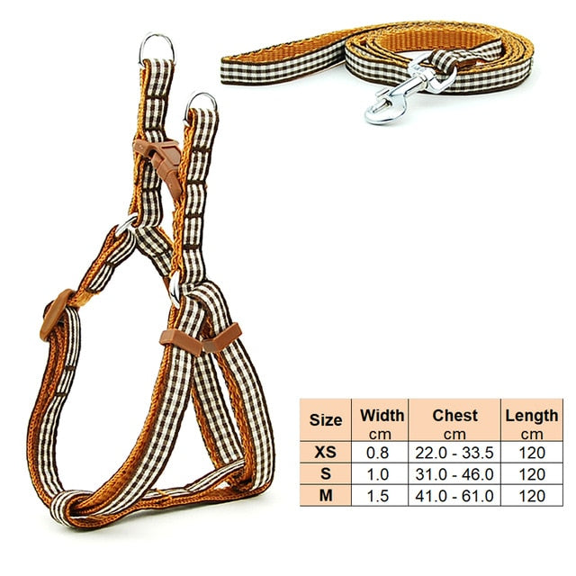 Dog Harness Leash | Cat Harness Leash | The Pets Beat