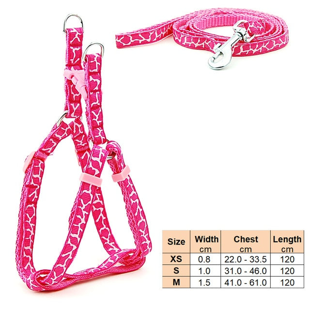 Dog Harness Leash | Cat Harness Leash | The Pets Beat