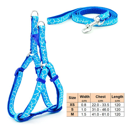 Dog Harness Leash | Cat Harness Leash | The Pets Beat