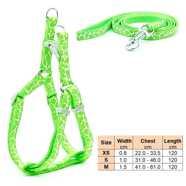 Dog Harness Leash | Cat Harness Leash | The Pets Beat