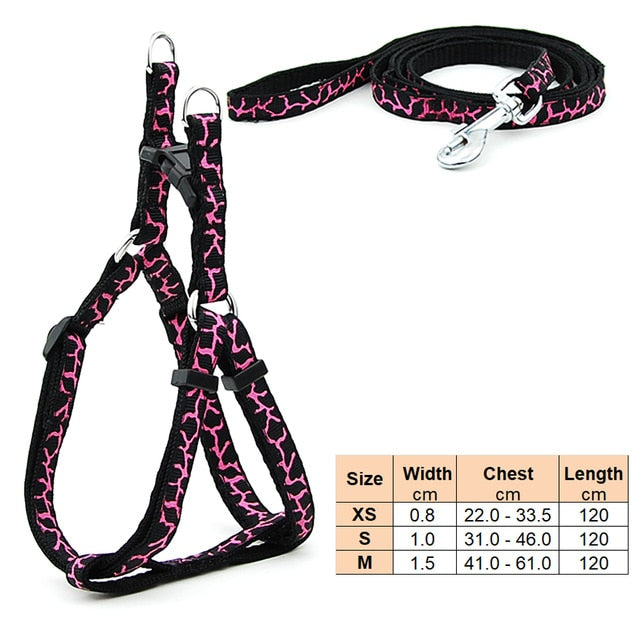 Dog Harness Leash | Cat Harness Leash | The Pets Beat