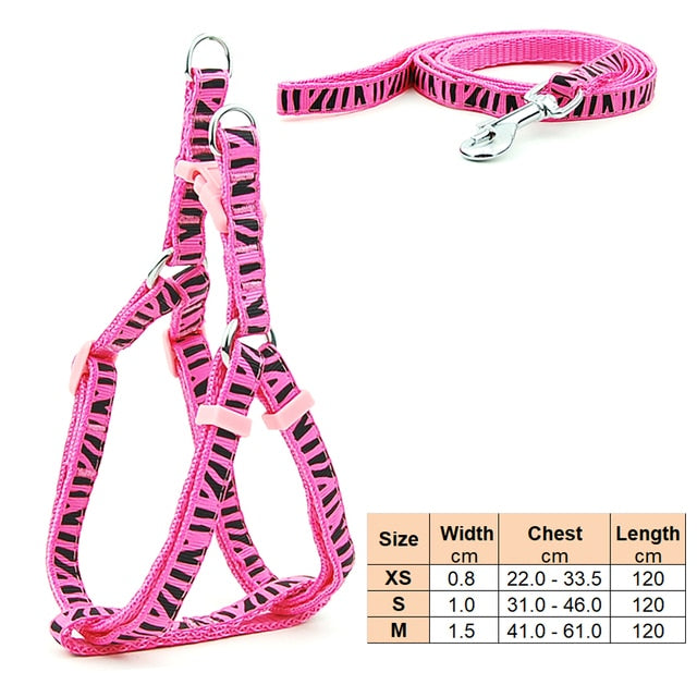 Dog Harness Leash | Cat Harness Leash | The Pets Beat