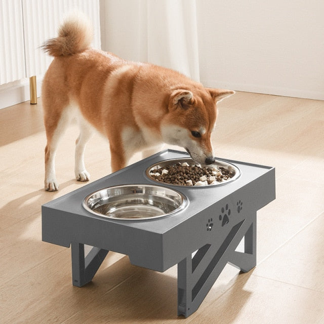 Elevated Dog Bowls | Dog Bowls | The Pets Beat