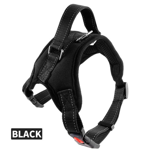 Dog Collar Chest Harness | Dog Chest Harness | The Pets Beat